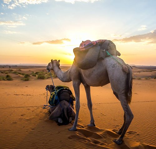 11 Days Tour From Marrakech Morocco Best Trails Tour Sahara Desert