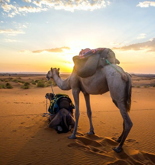 11 Days Tour From Marrakech Morocco Best Trails Tour Sahara Desert