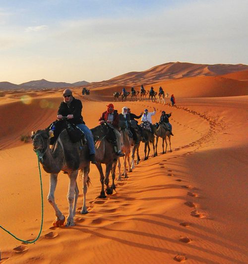 11 Days Tour from Casablanca North, South Morocco Camel Trekking