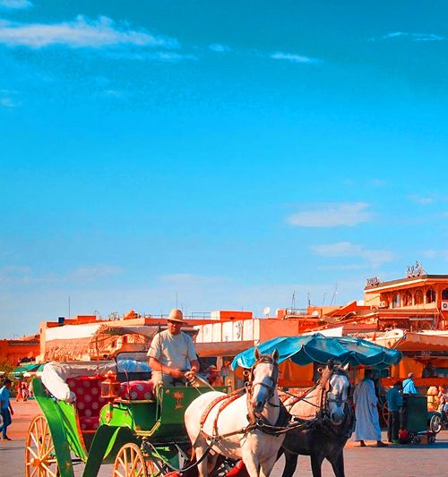 Activity Guided Horse Carriage Ride In Marrakech