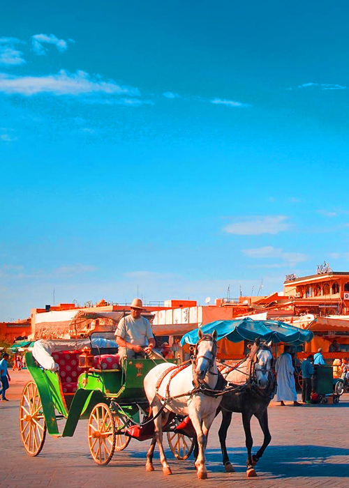 Activity Guided Horse Carriage Ride In Marrakech