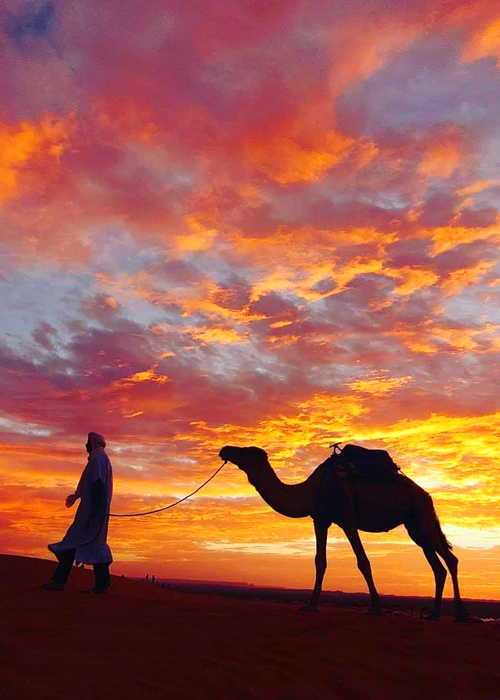 Activity Sunset On Camels In The Sahara Desert Erg Chebbi