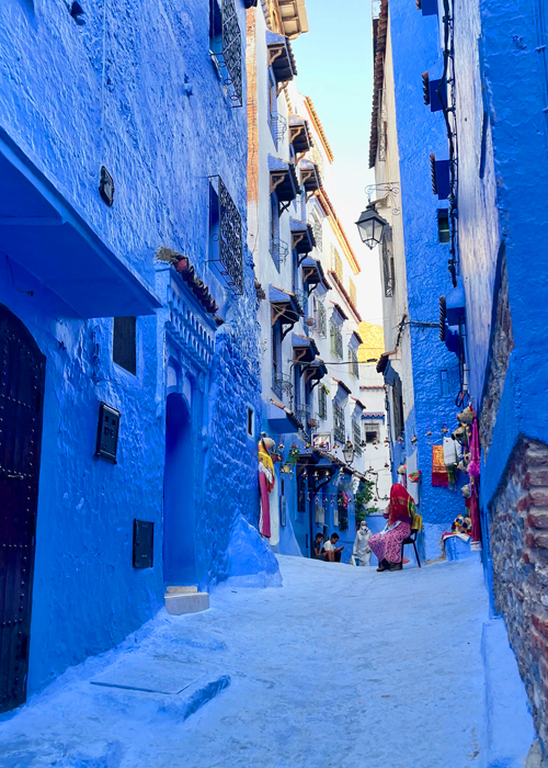 Day Trip From Fez to chefchaoune via rif mountains