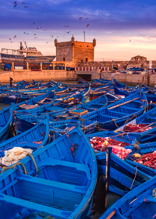 Day Trip From Marrakech To Essaouira Via Argan Forest