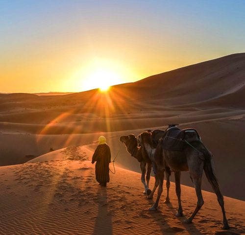 3 Days Tour From Ouarzazate to Merzouga Camel Trekking Tour