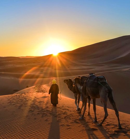 3 Days Tour From Ouarzazate to Merzouga Camel Trekking Tour
